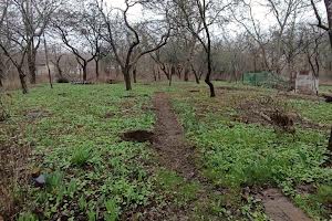 будинок за адресою Дендропаркова вул., 10