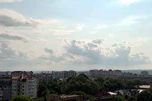 квартира за адресою Юліана Пелеша вул., 1