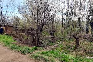 участок по адресу Заставненская ул., 38