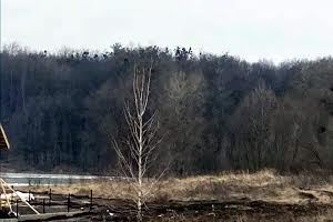 ділянка за адресою с. Лісники, Поміркова