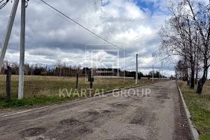 участок по адресу с. Дмитровка, Лісова, 1