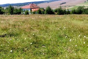 ділянка за адресою с. Лани, Степана Бандери