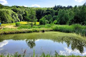 будинок за адресою с. Бережани, Шашкевича