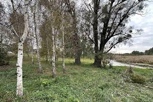 участок по адресу с. Озера, 