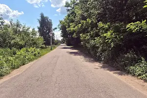 участок по адресу Світинська ул.