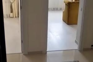квартира по адресу Курортный пер., 1