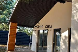 будинок за адресою Приозерна, 148