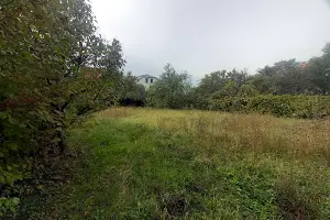 ділянка за адресою Червениця