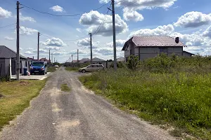 ділянка за адресою Березнева