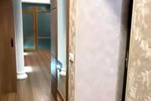 квартира по адресу Дача Ковалевского ул., 101