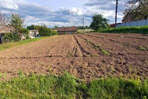 ділянка за адресою Центральна вул.