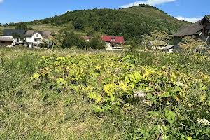 ділянка за адресою с. Підгородці, Центральна