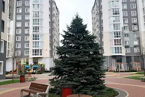 комерційна за адресою Олекси Тихого пров., 4