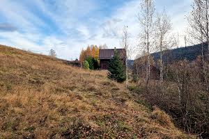 ділянка за адресою Князя Святослава вул.
