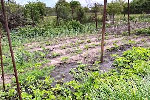 дом по адресу Харківська