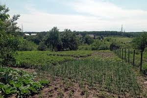 будинок за адресою Центральна вул., 1
