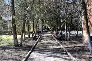 комерційна за адресою Степана Чобану вул. (Добровольського), 1