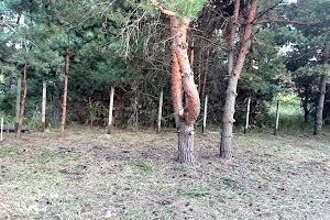 будинок за адресою Дорожня