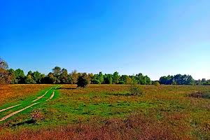 участок по адресу с. Клочков, Сновська