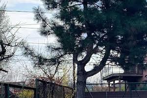дом по адресу 17 Садова вул.