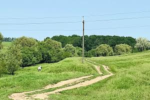 будинок за адресою Незалежності, 8