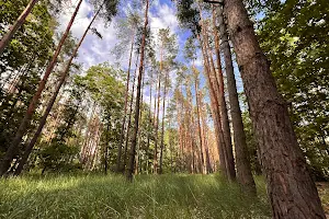 ділянка за адресою смт. Гостомель, 