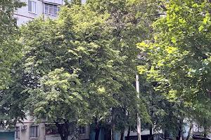 квартира за адресою Валентинівська вул. (Блюхера), 22