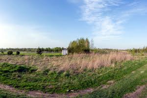 участок по адресу с. Тарасово, Лесі Українки, 1