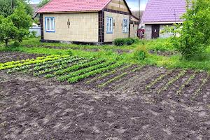 будинок за адресою с. Волошинівка, Центральная