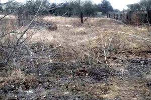 участок по адресу Мохова