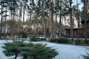 будинок за адресою бучанський