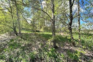 участок по адресу с. Тарасовщина, 