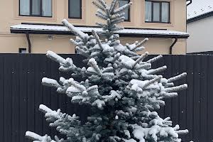 будинок за адресою Полтавська вул., 5а