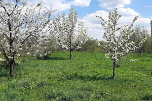 будинок за адресою Польова вул., 6