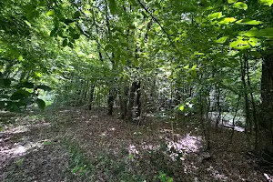 участок по адресу Центральна