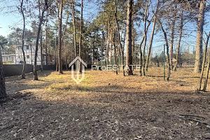 будинок за адресою Лісна