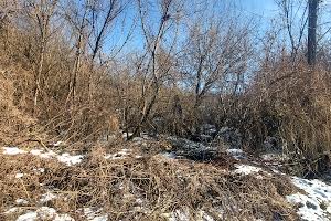 участок по адресу Антонія і Феодосія