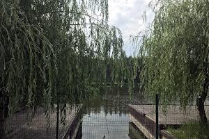 будинок за адресою лесная