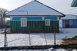 дом по адресу Царинська