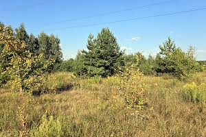 участок по адресу с. Пряжов, 