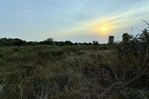 ділянка за адресою Підгородне, Вишнева