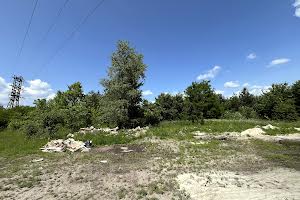 участок по адресу с. Копылов, 