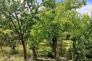 будинок за адресою Хмельницька