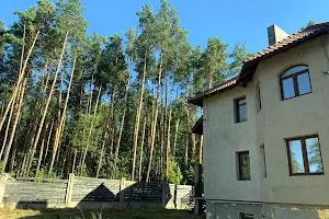 дом по адресу вулиця Миру