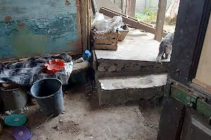будинок за адресою Залізничне Селище вул., 343 б