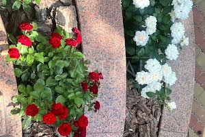 дом по адресу Центральная ул.