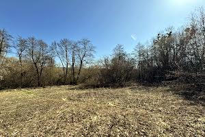участок по адресу Вінницьке шосе