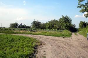 ділянка за адресою Шевченка
