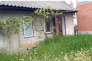 будинок за адресою Центральна, 42