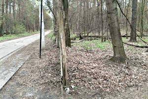 участок по адресу Сосновая ул., 87